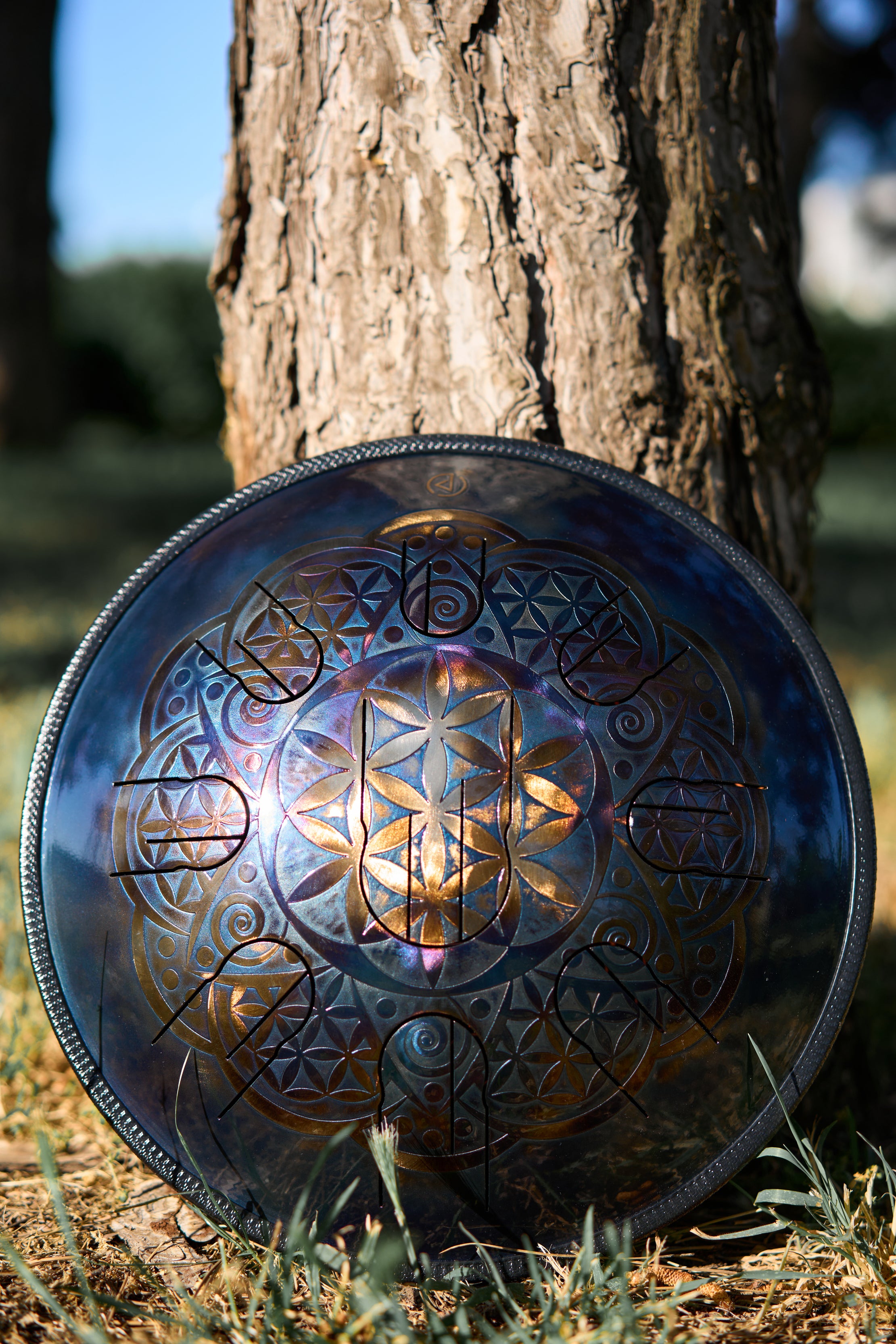 Flower of life steel tongue drum in rainbow color